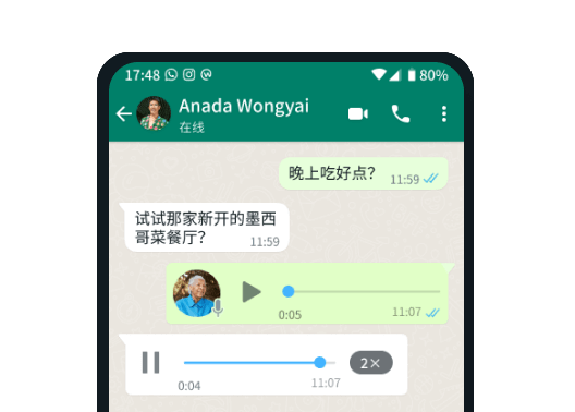 播放速度