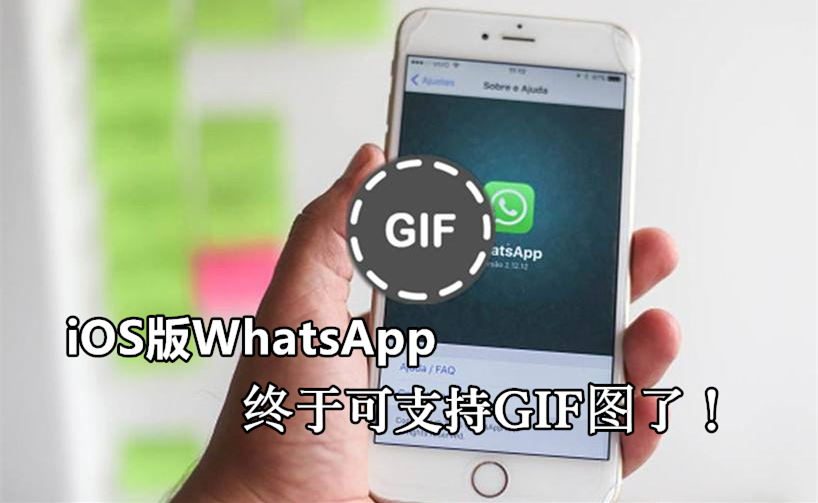 GIF表情能否在WhatsApp里使用？