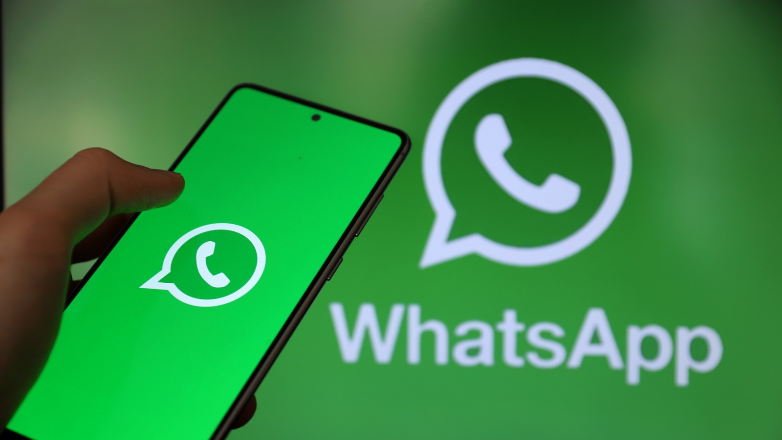 WhatsApp如何给联系人设置专属通知铃声？