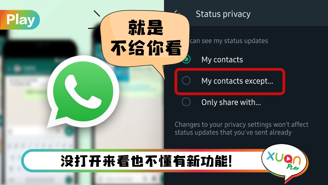 WhatsApp看不到頭像？可能是這幾個原因