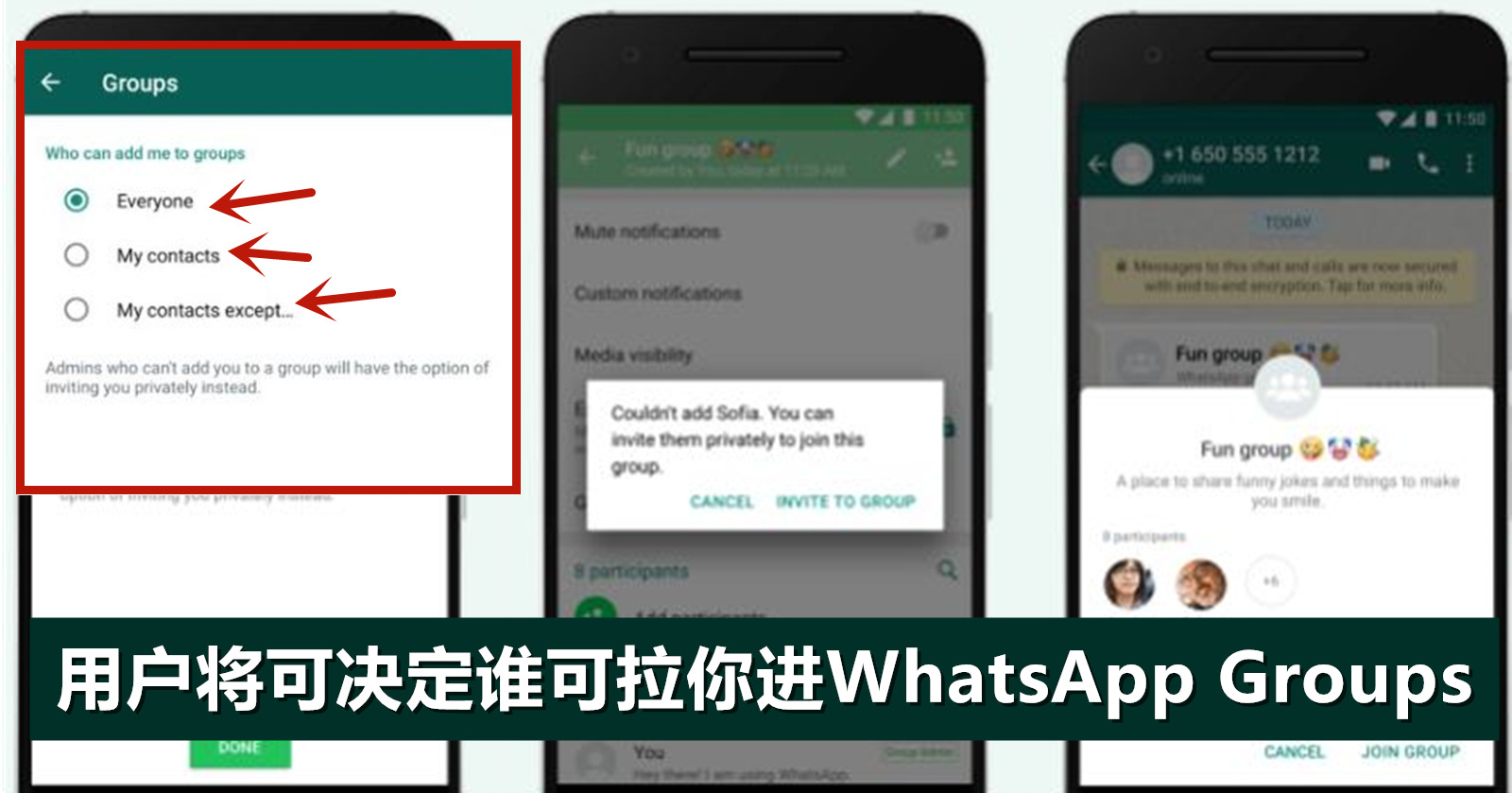 WhatsApp 群组公告全解析:查看路径、发布规则与无法看到的原因说明