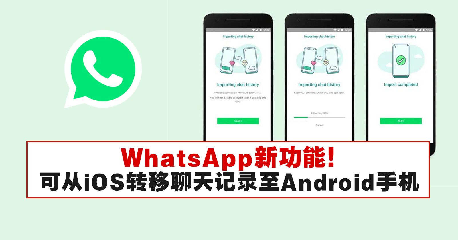 WhatsApp 聊天错误删除别慌｜Google / iCloud 备份重建步骤与功能限制说明